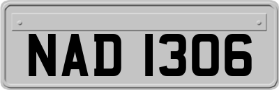 NAD1306