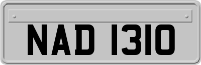 NAD1310