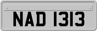 NAD1313