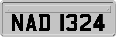 NAD1324