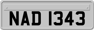 NAD1343