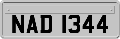 NAD1344