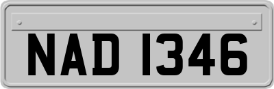 NAD1346