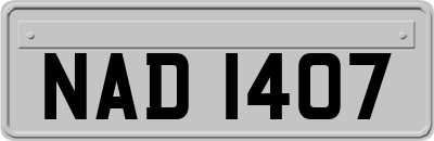 NAD1407