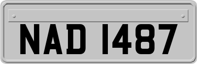 NAD1487