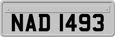 NAD1493