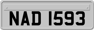 NAD1593