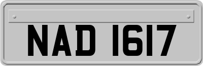 NAD1617