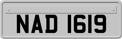 NAD1619