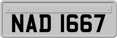 NAD1667