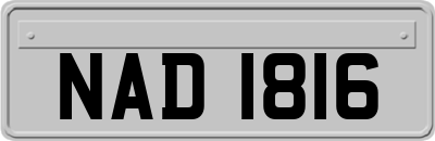 NAD1816