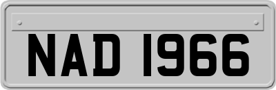 NAD1966