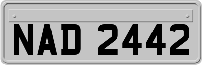 NAD2442