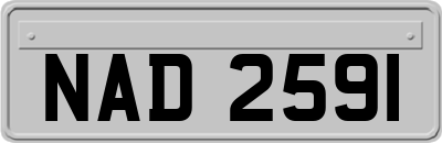 NAD2591