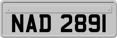 NAD2891