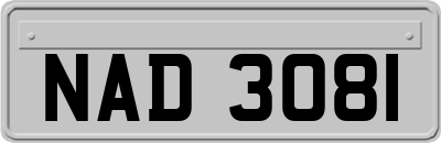 NAD3081