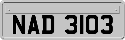 NAD3103