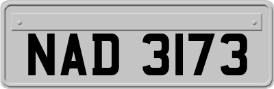 NAD3173