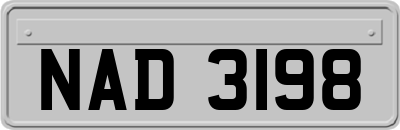 NAD3198