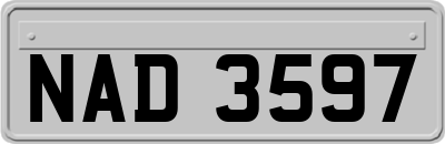 NAD3597