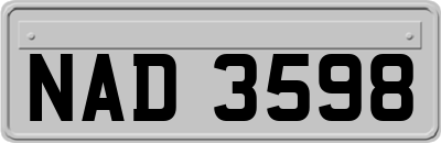 NAD3598