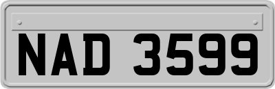 NAD3599