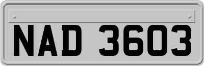 NAD3603