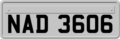 NAD3606