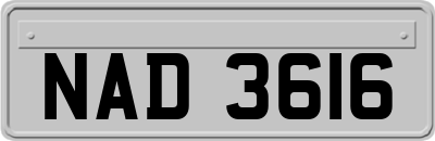 NAD3616