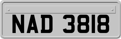 NAD3818