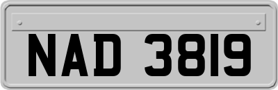 NAD3819