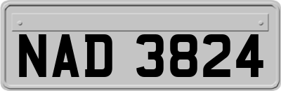 NAD3824