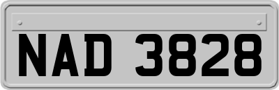 NAD3828