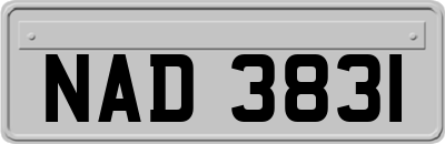 NAD3831