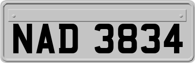 NAD3834