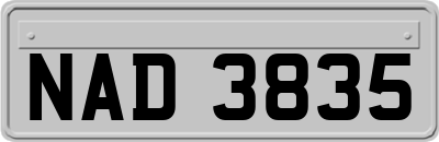 NAD3835