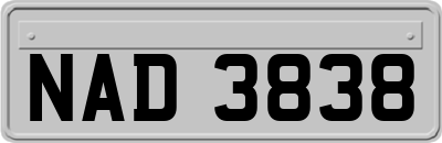 NAD3838