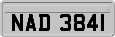 NAD3841