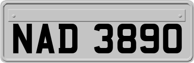 NAD3890