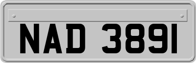 NAD3891