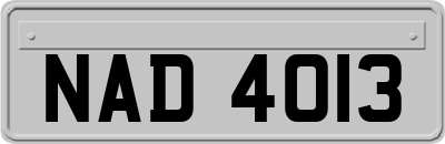 NAD4013