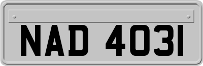 NAD4031