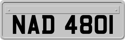 NAD4801