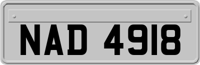 NAD4918