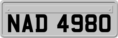 NAD4980