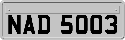 NAD5003