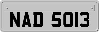 NAD5013