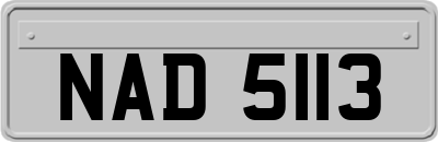 NAD5113