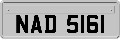 NAD5161