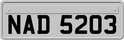 NAD5203